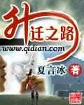 升迁之路封面