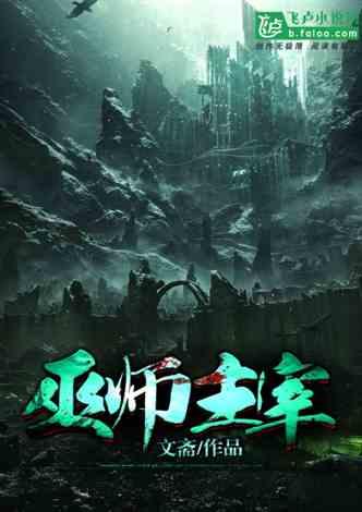 巫师主宰封面