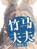 竹马夫夫封面