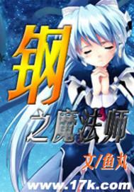 钢之魔法师封面