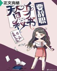 替身秘书要辞职封面