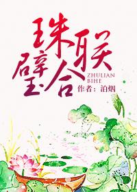 珠联璧合封面