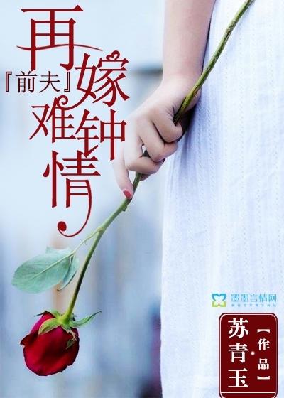 前夫，再嫁难钟情封面