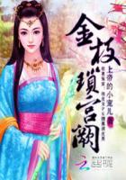 金枝锁宫阙封面