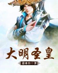 大明圣皇封面