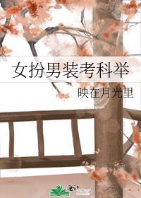 女扮男装考科举封面
