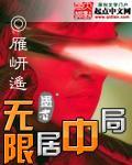 无限局中局封面