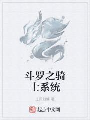 斗罗之骑士系统封面