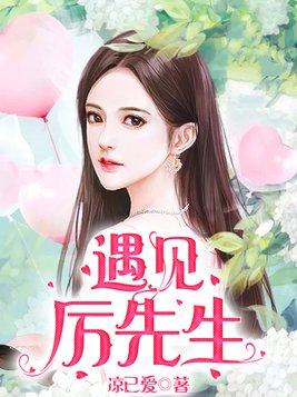 遇见厉先生封面