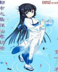 帝尊武婿封面