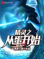 精灵之从蛋开始封面