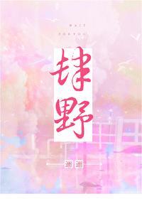 肆野封面