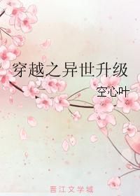 穿越之异世升级封面