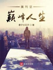 美利坚巅峰人生封面