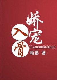 娇宠入骨封面