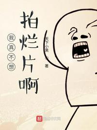 我真不想拍烂片啊封面