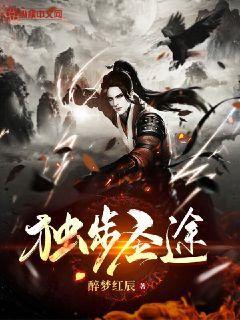独步圣途封面