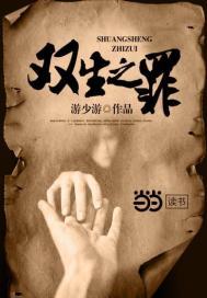双生之罪封面