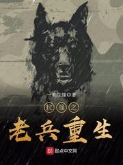 抗战之老兵重生封面