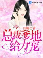 夜少怀里的小祖宗飒又撩封面