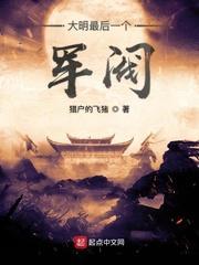 大明最后一个军阀封面
