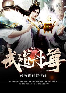 武道丹尊封面