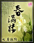 春满楼封面