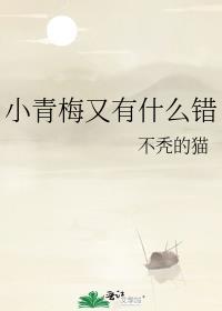 小青梅又有什么错封面