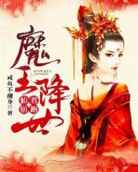 魔王殿下你媳妇又跑了封面