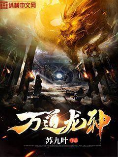 醉步惜欢（原名：插菊）封面