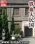 铁血大民国封面