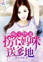 萧莫漓安子琪封面