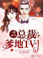 一胎双宝：总裁爹地1V1封面