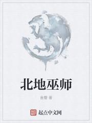 北地巫师封面