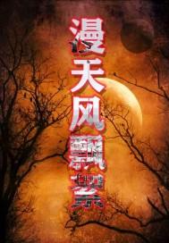 漫天风飘絮封面