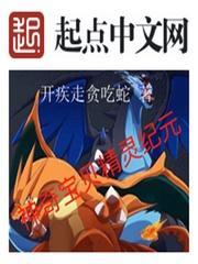 神奇宝贝精灵纪元封面