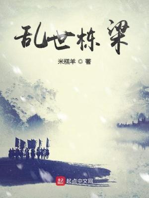 乱世栋梁封面