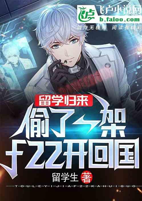 留学归来：搞了架飞机开回家封面