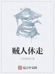 贼人休走封面