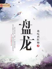 盘龙之开天辟地封面