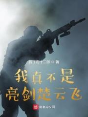 我真不是亮剑楚云飞封面
