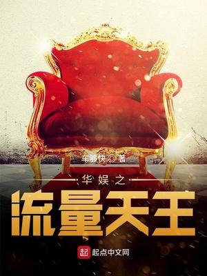 华娱之流量天王封面