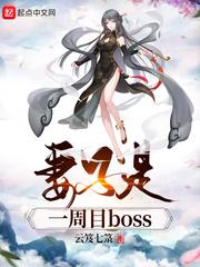 妻子是一周目boss封面