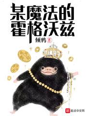 某魔法的霍格沃茨封面