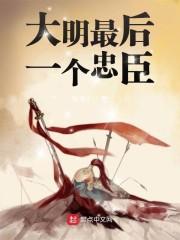 大明最后一个忠臣大明最后一个驸马封面