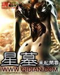 星墓封面