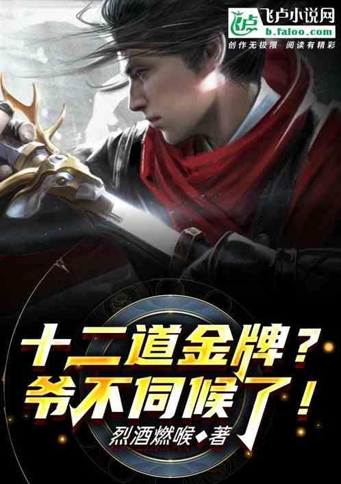 十二道金牌？爷不伺候了！封面