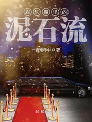娱乐圈里的泥石流封面