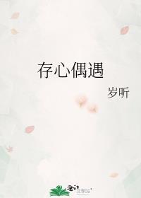 存心偶遇封面