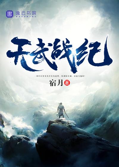 天武战纪封面